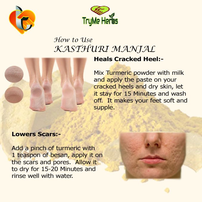 TryMe Herbs Wild Turmeric Powder (Kasturi Manjal) 100g | Curcuma Aromatica | Natural Herbal Face & Body Care Powder - Image 4