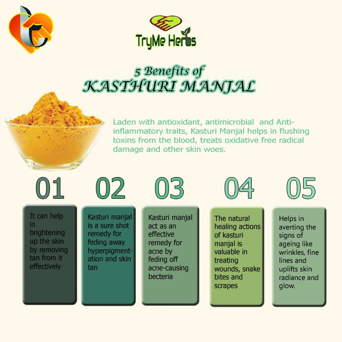 TryMe Herbs Wild Turmeric Powder (Kasturi Manjal) 100g | Curcuma Aromatica | Natural Herbal Face & Body Care Powder - Image 3