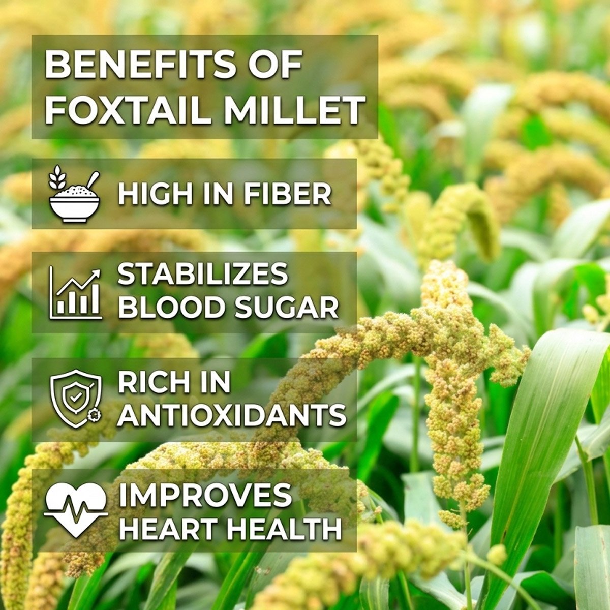 ThamizharUnavu™ Thinai Arisi (Foxtail Millet) 1kg | Foxtail Millet Rice | Traditional Millet Grain - Image 3